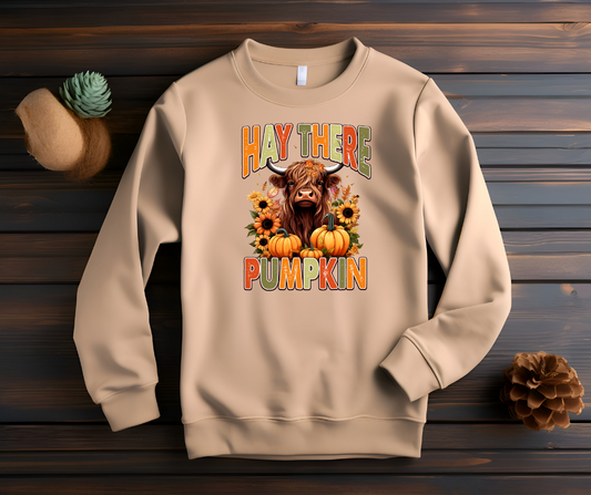 Hay there pumpkin sweater