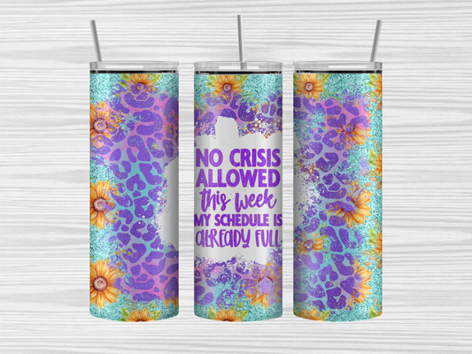 No crisis allowed tumbler, metal straw and cleaning brush