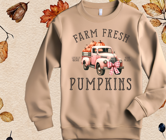 Farm fresh pumpkins sweater in sand